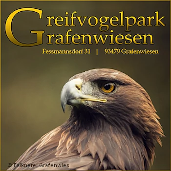 Greifvogelpark Grafenwies Tierpark Bayern